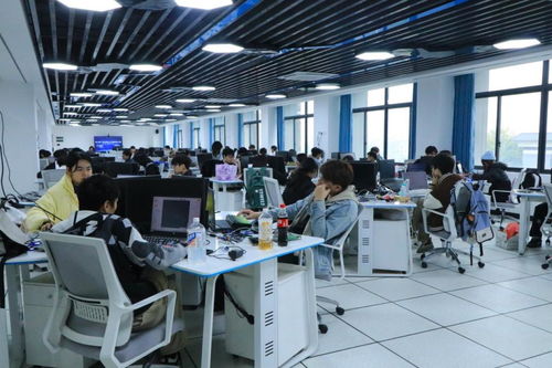 第七屆廣西大學(xué)生智能設(shè)計大賽物聯(lián)網(wǎng)設(shè)計應(yīng)用技能競賽在我校成功舉辦，信息技術(shù)咨詢服務(wù)助力賽事升級